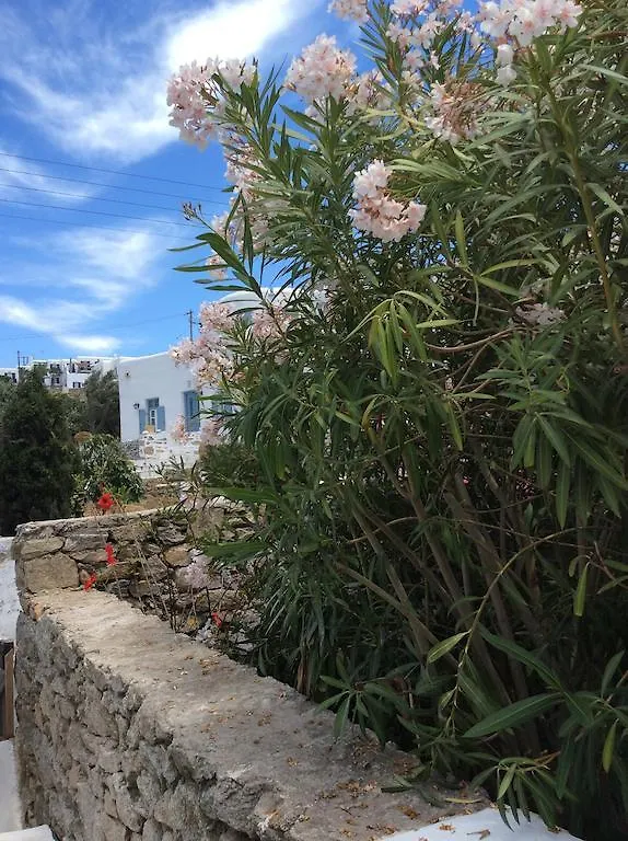 Olympia Apart otel Mykonos Town 2*,